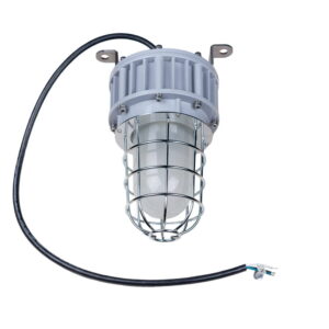 30W LED Explosion Proof Jelly Jar Light | Class I Division I | 3,300 Lumens, 5000K, Dimmable, 100-277V, Sosen Driver | EPC G Series